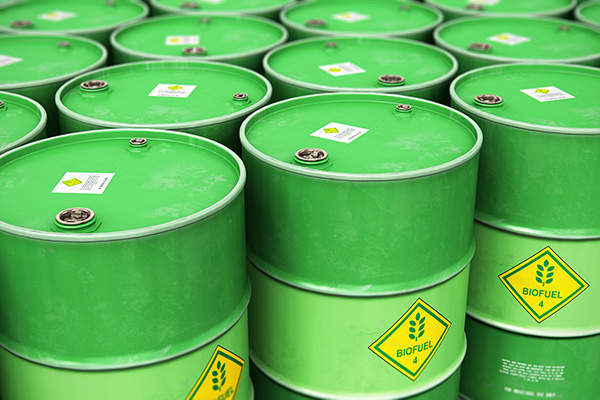 What Happens to Your Oil After an Oil Change?