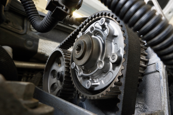 A Close Up of a Timing Belt | Euro Car Tech in Arlington, TX